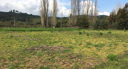 17.1 Hectáreas, Subdividido En 4 Lotes, Itata