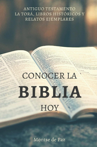 Libro: Conocer La Biblia Hoy: Antiguo Testamento I (spanish 