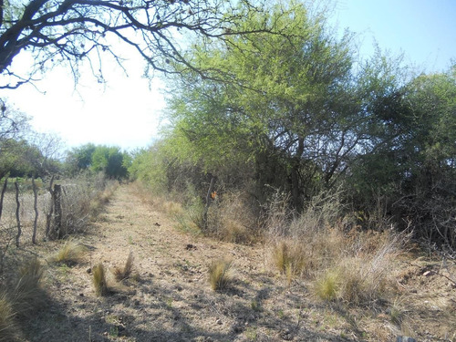 Imagen 12 de 14 de Campo En Venta De 53000m2 Ubicado En La Paz Cordoba. A 15 Kms Merlo (s.l)
