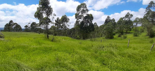 Imagem 2 de 14 de Os Melhores Terrenos No Interior De São Roque