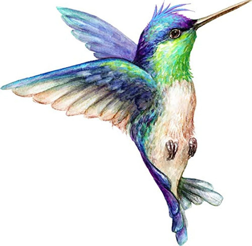 Imán De Vinilo Con Diseño De Colibrí De Colores Vibrantes