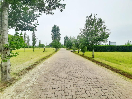 Imagen 6 de 7 de Venta Terreno En Lomas De Petion Cañuelas