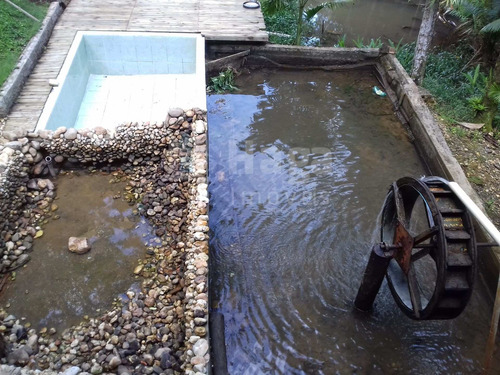 Imagem 4 de 5 de Chácara À Venda Em Botuverá/sc - 1801c