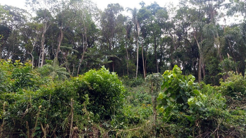 Imagem 5 de 9 de Terreno Loteamento Para Venda Em Capuavinha - Mairiporã - 230