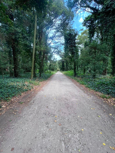 Imagen 5 de 11 de Vendo Lote 750 Mts Bosque P. Ramos Parquizado U$s 55.000.-