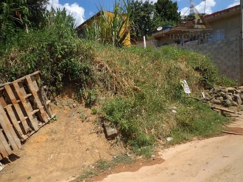 Imagem 2 de 2 de Terreno Residencial À Venda, Jardim Pinheiro, Arujá - Te0073. - Te0073
