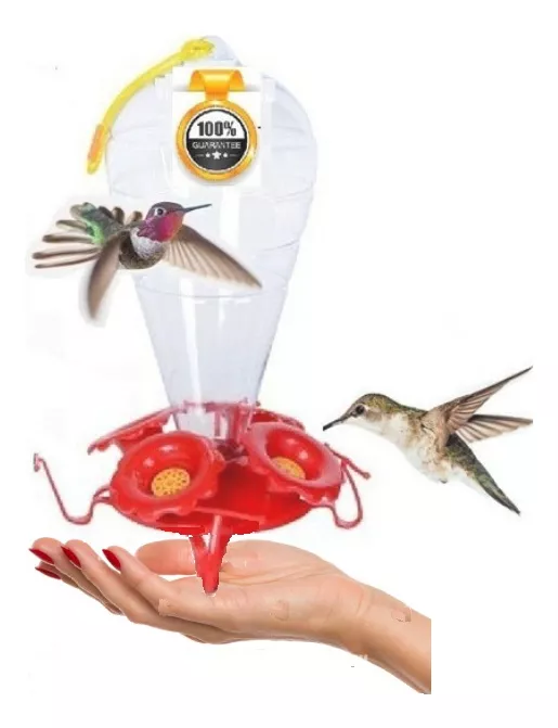 Primera imagen para búsqueda de bebedero colibri