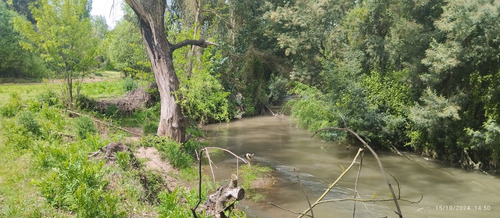 Parcela De 6,5 Ha En Comuna Rio Claro, Region Del Maule,