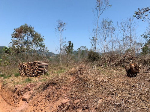 Imagem 10 de 23 de Sb- Vende-se Lote De 600 M² Próximo Do Centro