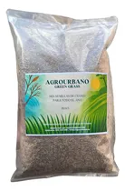 Comprar Mezcla Semillas Césped Raigrás Perenne, Festuca Y Poa X 5 Kg