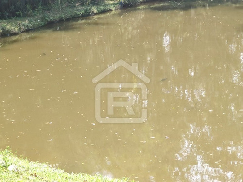 Imagem 6 de 30 de Lindo Sitio Alto Padrão Com Piscina E Lagos - 39 - 68517911