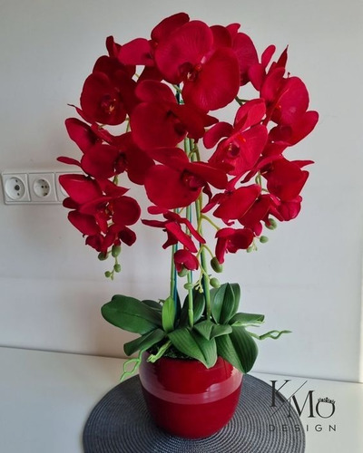 100 Semillas De Orquídea Color Amor ( Germinación Rápida )