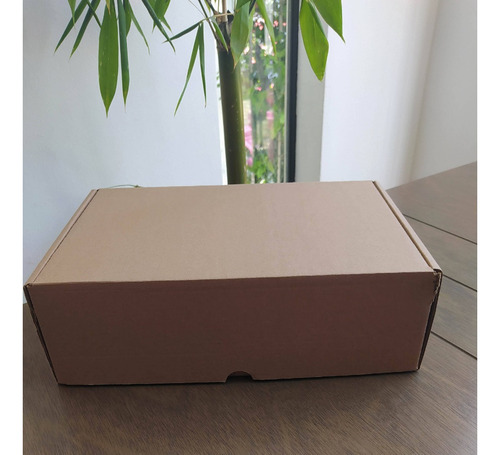 10 Cajas De Cartón Autoarmables 30x20x10cm Café
