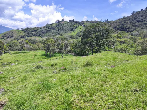 Lote En Copacabana Vereda El Zarzal