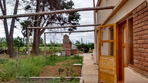 Venta Lote Campo Casa Mendoza General Alvear Bowe
