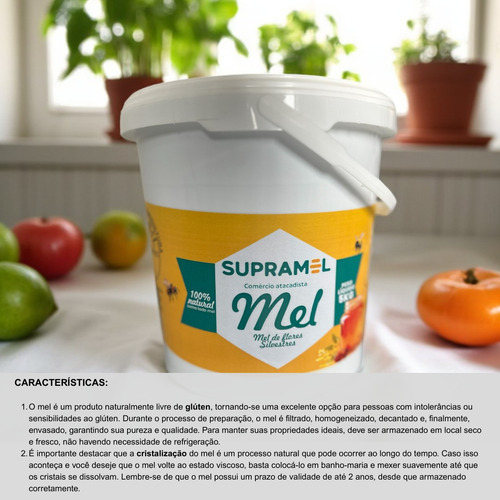Mel 100% Puro Abelhas Silvestre Supramel - Balde 5 Kg