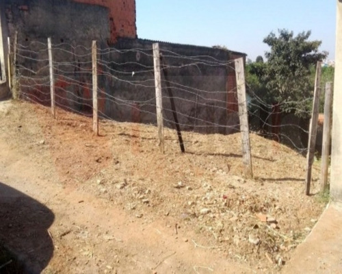 Imagem 6 de 6 de Terreno - 1714 - 32402051
