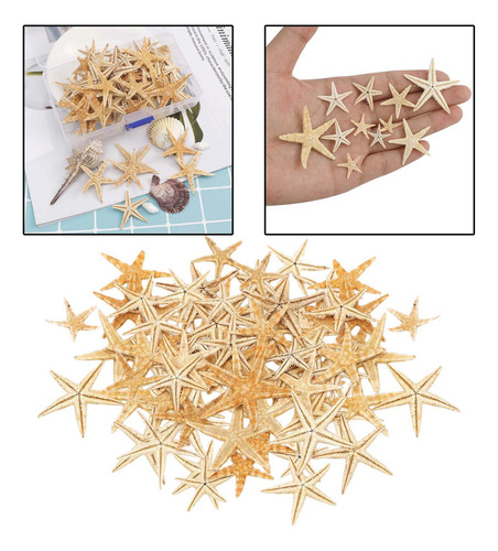 2 Pequeña Natural Para 1-5cm 100 Piezas