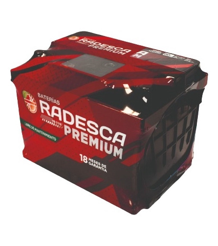 Batería Radesca Premium 12v 100amp (60 Ah) Libre De Mantenim
