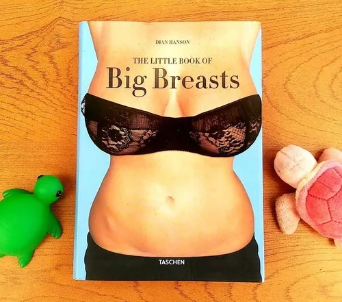 Little Book Of Big Breasts - 9783836532143