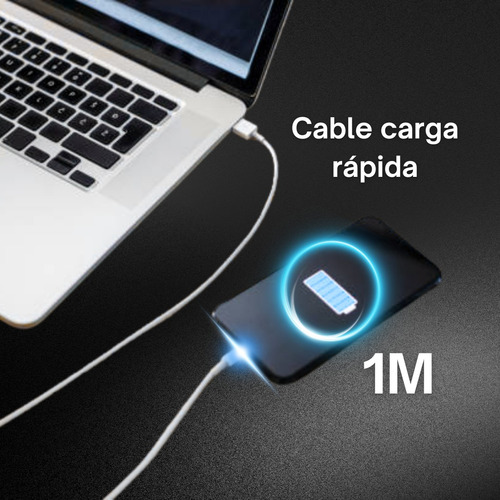 Cable 1hora Usb Tipo C A Usb 2.0 1m