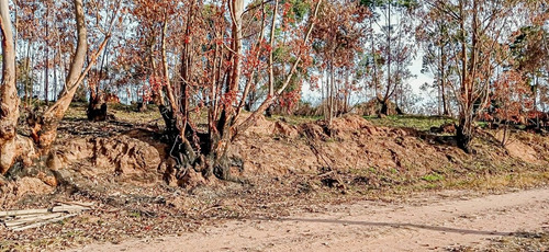 Imagem 1 de 6 de Atibaia Sp Terreno 638 M² Doc. Ok Ac/veículos Lp0096