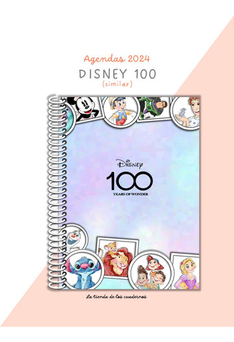 Agenda Disney 100, Personalizada -especial-
