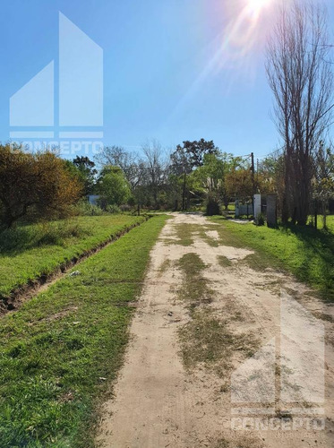 Imagen 7 de 11 de Terreno - Villa California