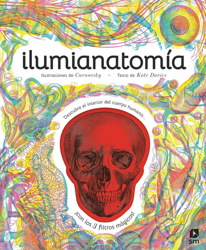 Libro: Ilumianatomía (álbumes Ilustrados) (spanish Edition)