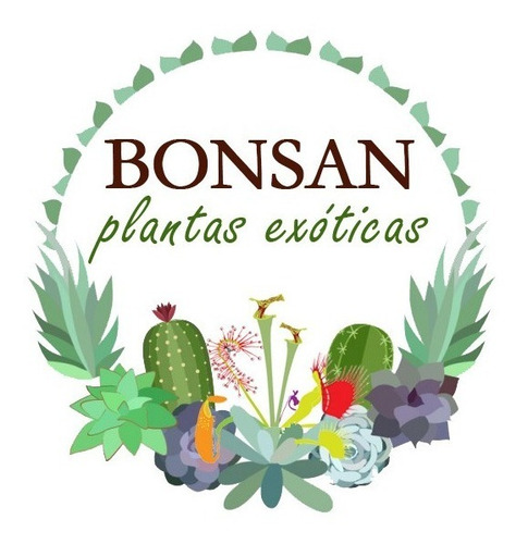 10 Semillas De Planta Mate Calabaza Vegetal Exótica Rara