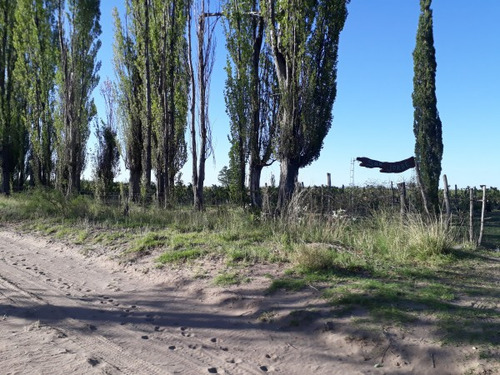 Vendo O Alquilo Finca En El Usillal