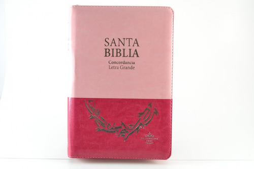 Imagen 1 de 2 de Biblia Reina Valera 1960 Letra Grande Pjr Cierre Dos Tonos