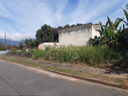 Imagem 2 de 6 de Terreno À Venda, 378 M², Porto Novo, Caraguatatuba/sp. - Te00543 - 69850633