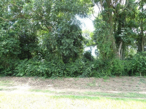 Imagem 11 de 30 de Vendo Área Na Estiva Em Louveira Com 150 Mil M². - Ar00006 - 2586566