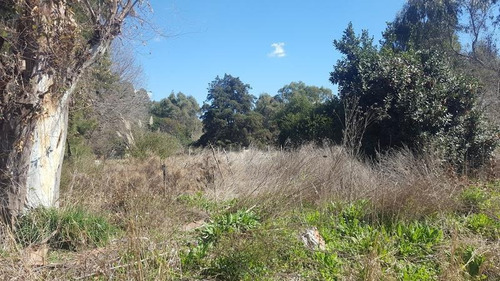 Imagen 1 de 6 de Terreno - Pilar