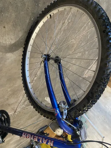 2001 raleigh m20 sale