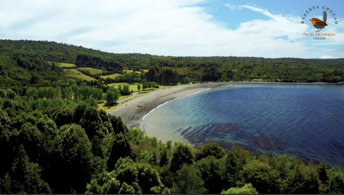 Hermosas Parcelas Frente A Playa En Isla Tranqui Chiloé