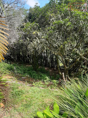 Imagem 17 de 29 de Chácaras À Venda Em Mairiporã/sp - Compre O Seu Chácaras Aqui! - 1491764