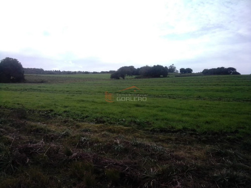 Imagen 18 de 29 de Maldonado Campo Con 150 Has Ganaderas En Aigua, 70 Kms De Punta, Serrano, Pintoresco, Con Instalaciones
