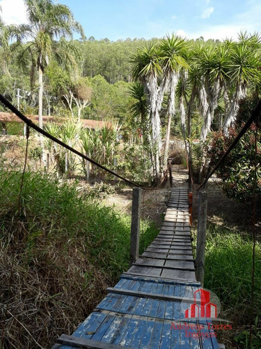 Imagem 16 de 25 de Sítio Sítio À Venda Em Lagoinha/sp - 1353