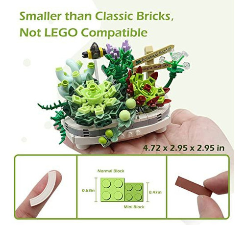 Kit De Bonsáis Suculentos, Regalo Creativo, Construcción De
