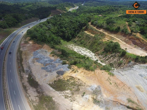 Imagem 4 de 8 de Terreno Em Simões Filho - Te00311 - 34790936