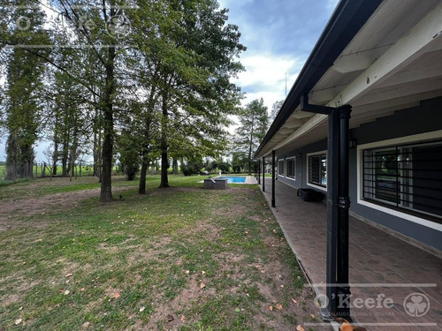 Imagen 10 de 30 de Chacra En Venta De 17 Has En San Andres De Giles. Excelente Casco