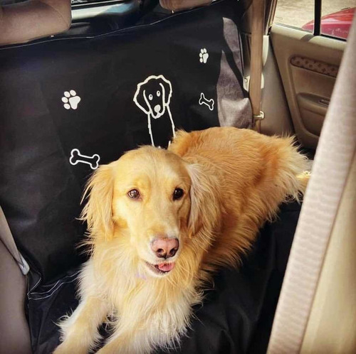 Forro Protector Para La Cojíneria Del Carro