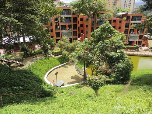 Imagen 13 de 15 de Town House Boyera Bosque Encantado