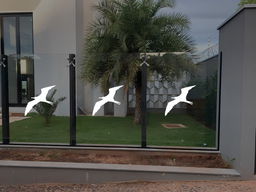 Adesivos Pássaros Anticolisão Trombadas Vidros Vidraças 33cm