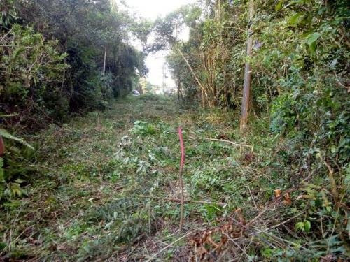 Imagem 1 de 10 de Terreno A 500 Metros Do Rio Em Itanhaém - 6462