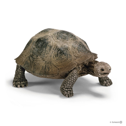 Figura Schleich Bonita Tortuga Gigante, Verde, Pisapapeles