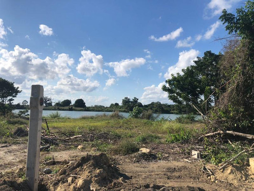 Venta De Lotes Frente Al Rio Juana Moza Tuxpan Veracruz
