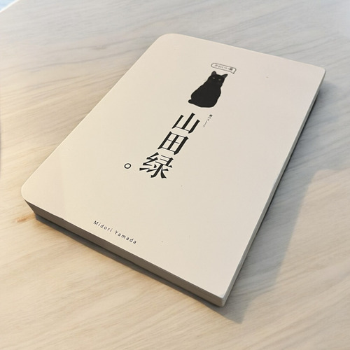 Pack Del Dibujante Sketchbook Japones + Rotuladores